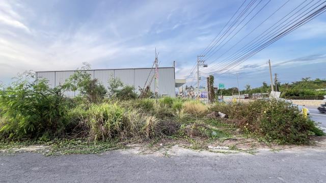 高雄燕巢農地-4