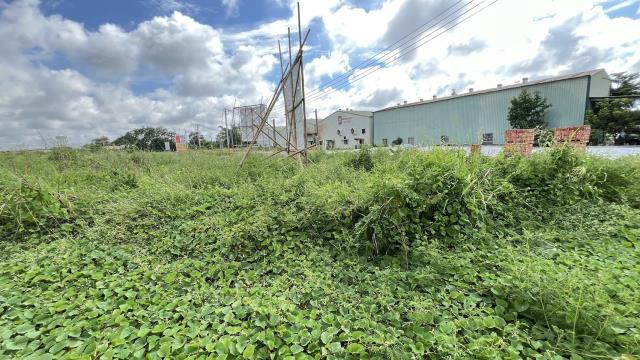 高雄燕巢農地-2