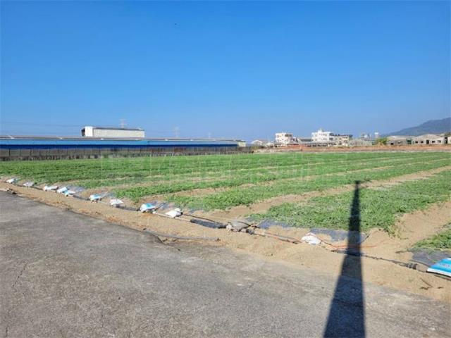 阿蓮農地-2