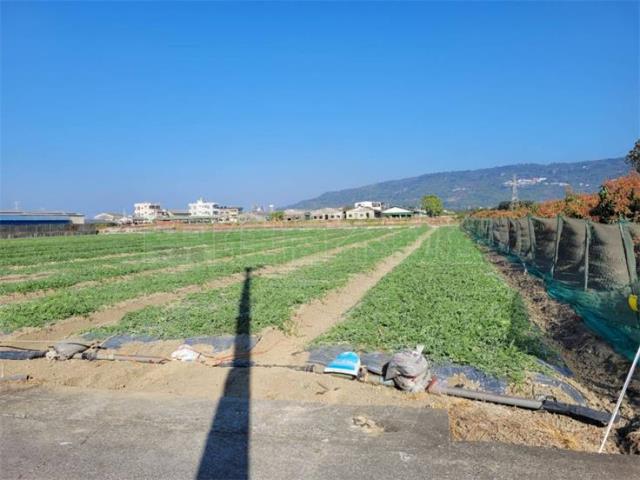 阿蓮農地-4