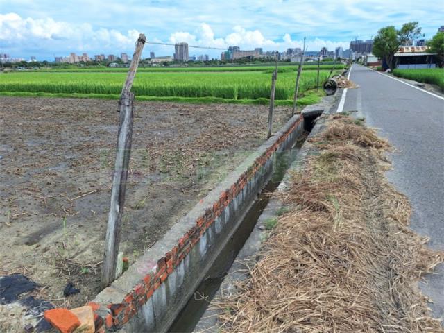 橋頭農地-3