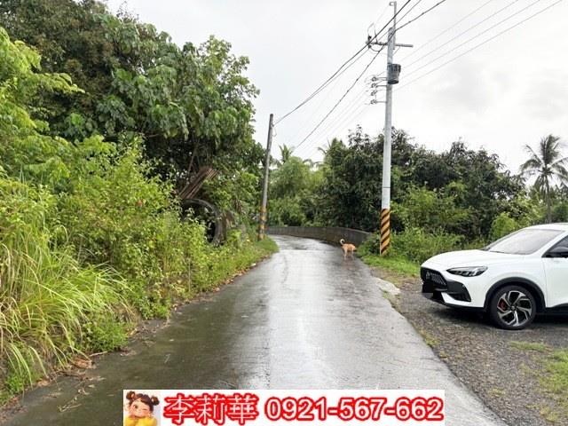 高雄杉林農地-0