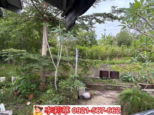 高雄杉林農地-6