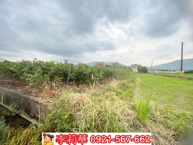 高雄杉林農地-3