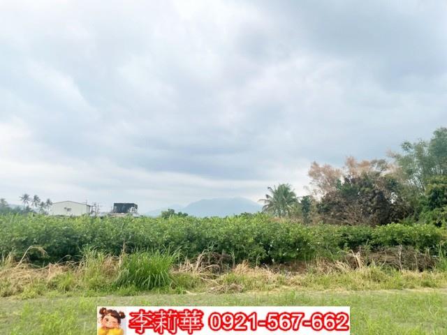 高雄杉林農地-7