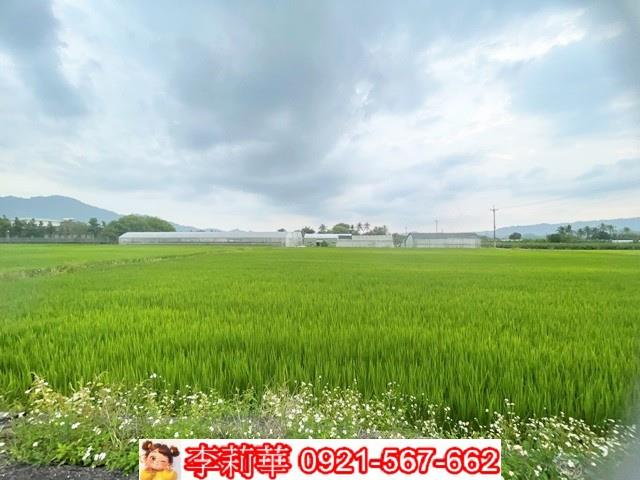 高雄杉林農地-8