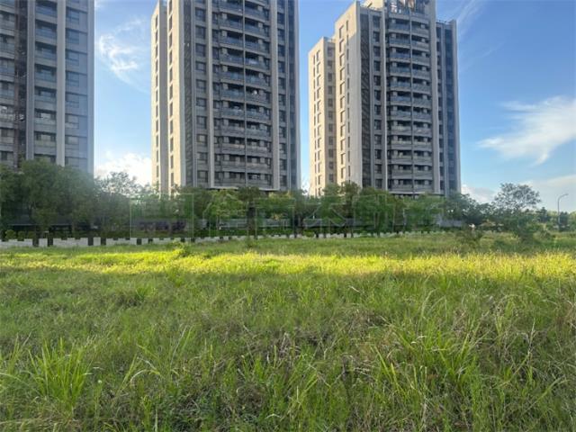 高雄橋頭建地-0