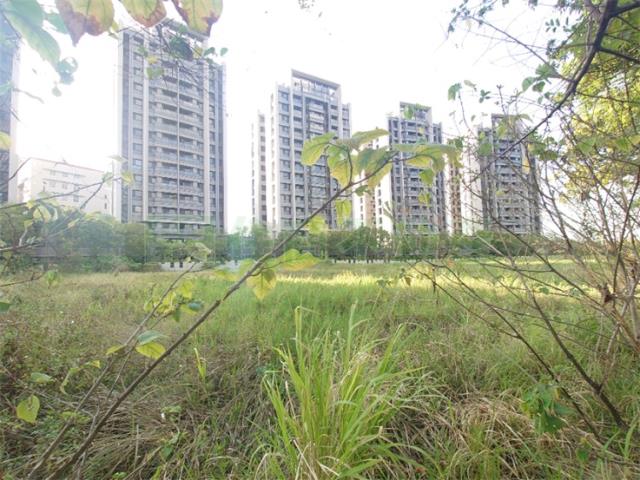 高雄橋頭建地-5