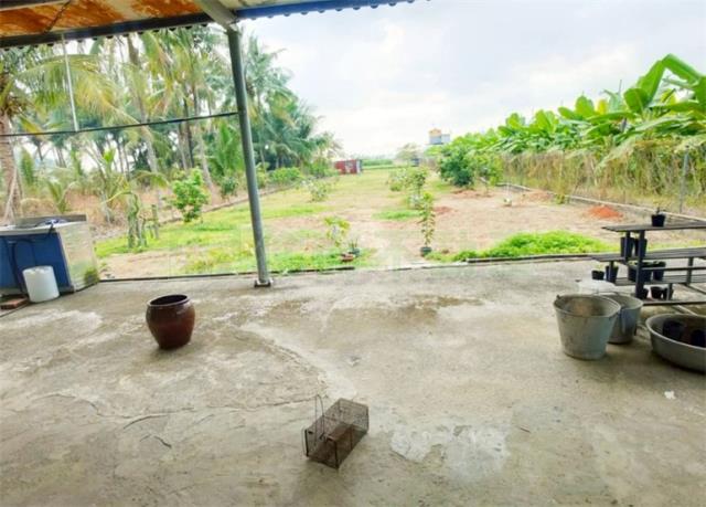 高雄美濃農地-14