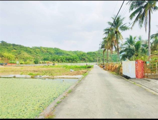 高雄美濃農地-2