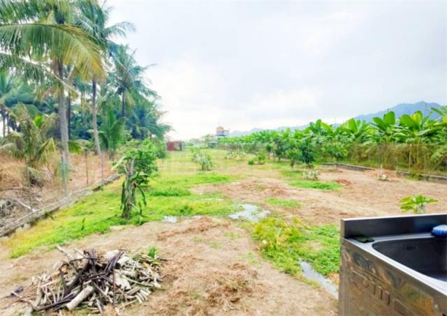 高雄美濃農地-4