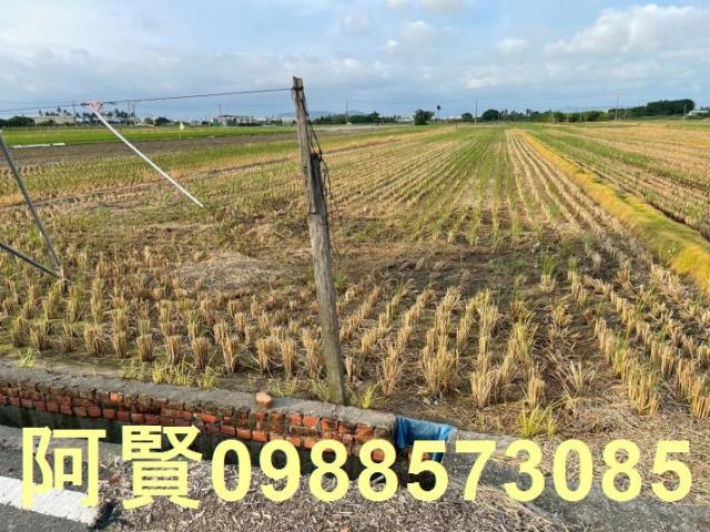 高雄農地-0