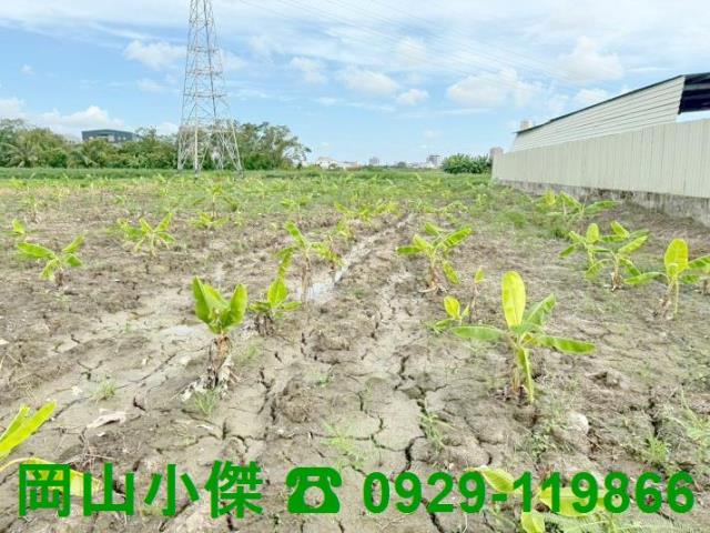 高雄岡山農地-0
