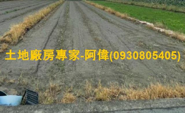 高雄林園農地-0