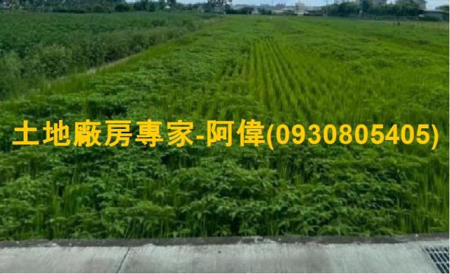 高雄農地-0