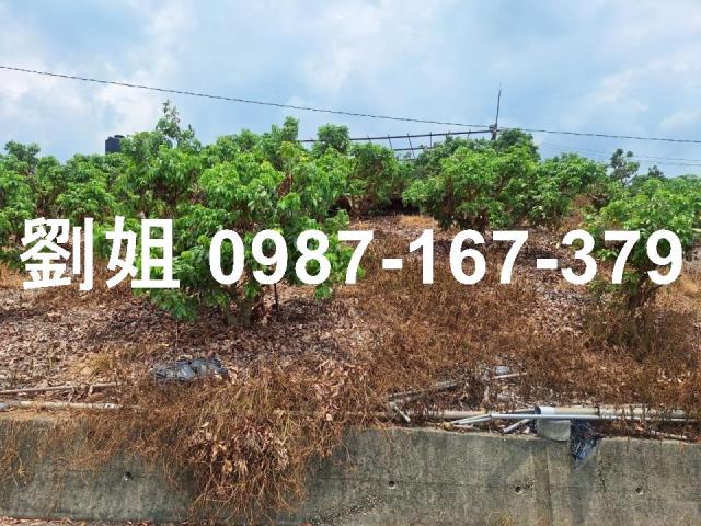 高雄大樹農地-1