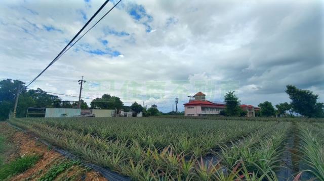 高雄大樹農地-0