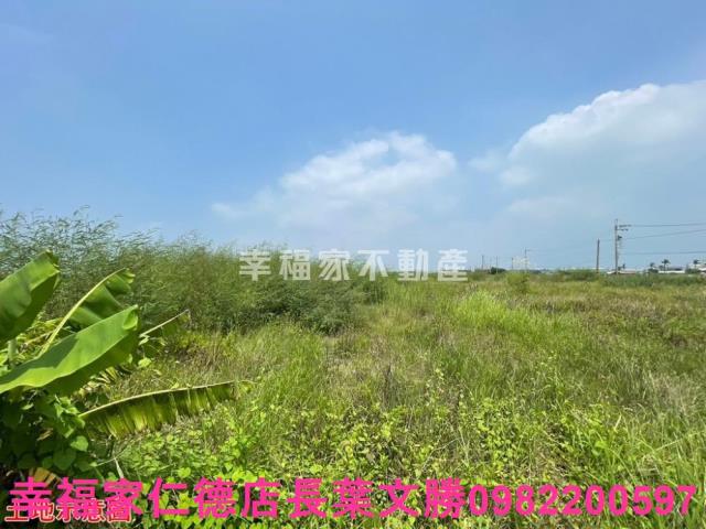 高雄湖內農地-7