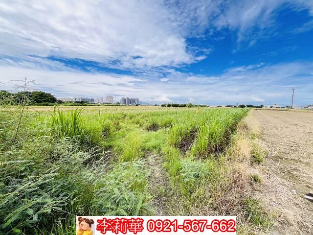 高雄橋頭農地-11