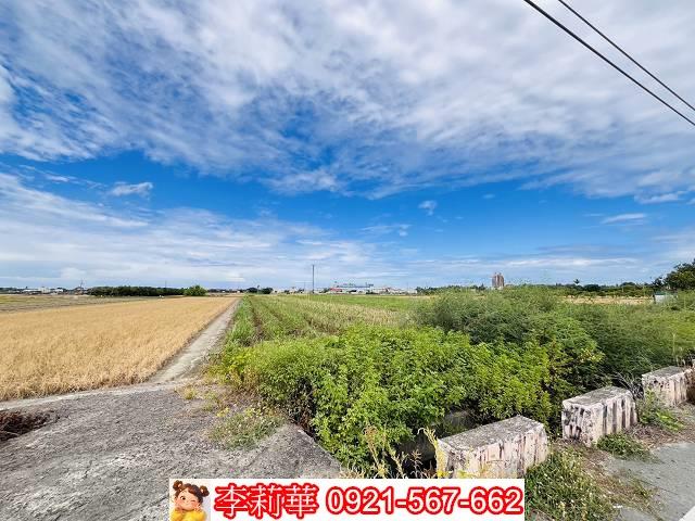 高雄橋頭農地-5