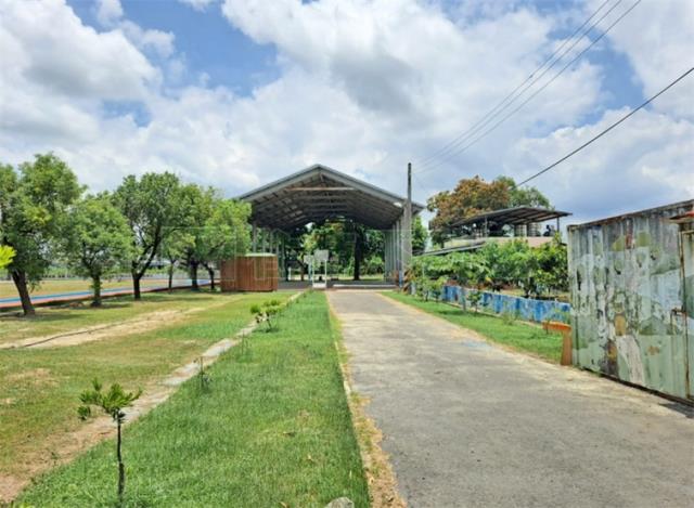 高雄阿蓮農地-13