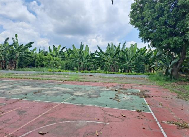 高雄阿蓮農地-0