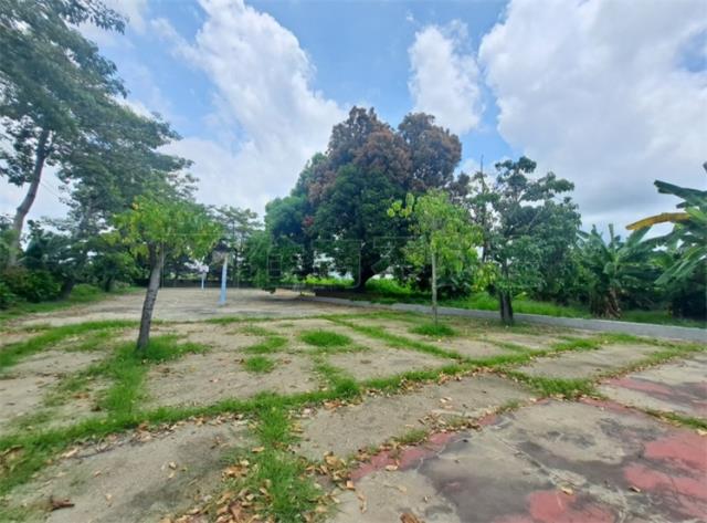 高雄阿蓮農地-2