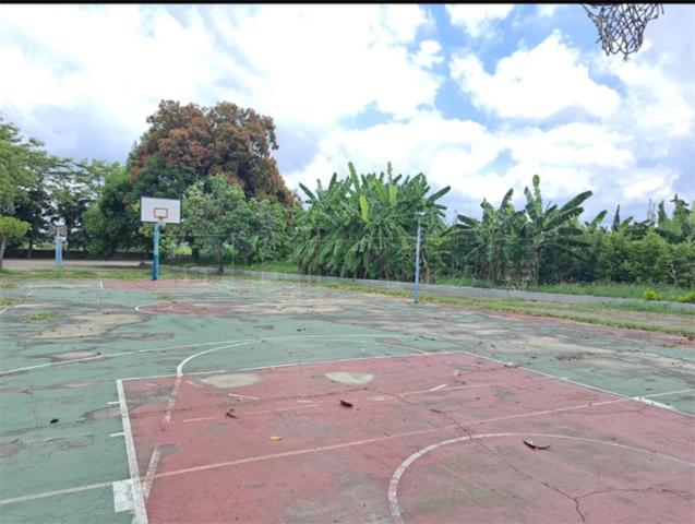 高雄阿蓮農地-4