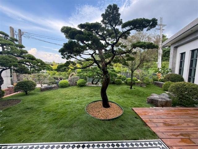 高雄燕巢農地-10