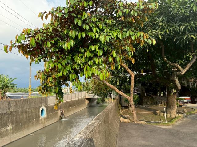 高雄美濃建地-9