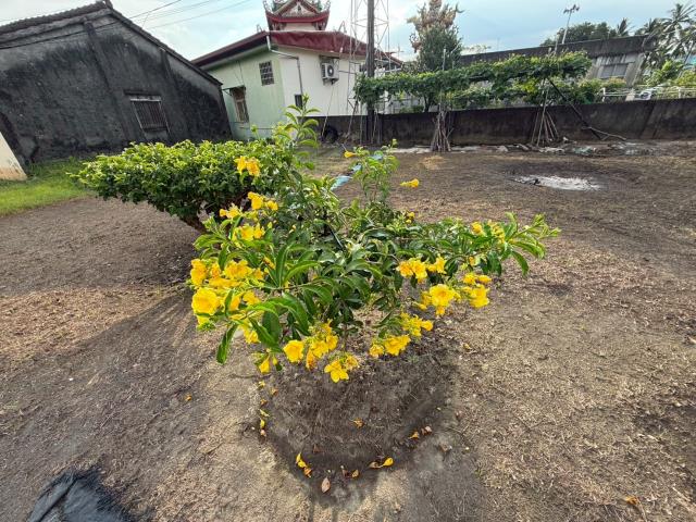 高雄美濃建地-3