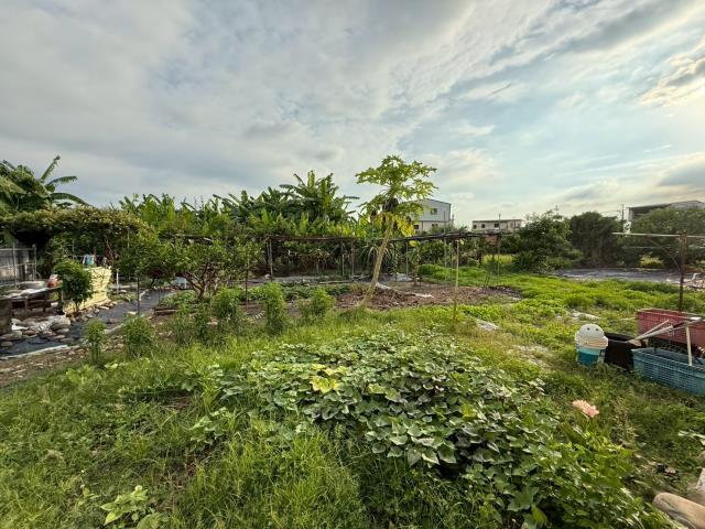 高雄美濃建地-8