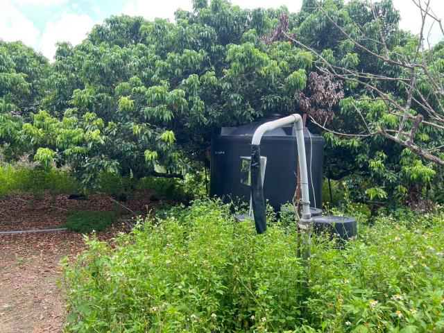 高雄內門農地-3