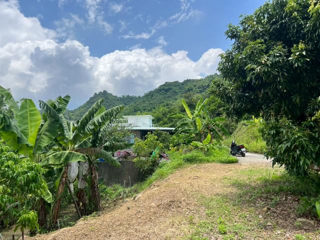 高雄內門農地-6