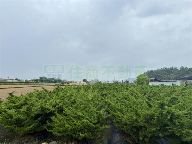 高雄美濃農地-5