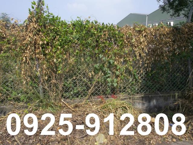 高雄大樹農地-0