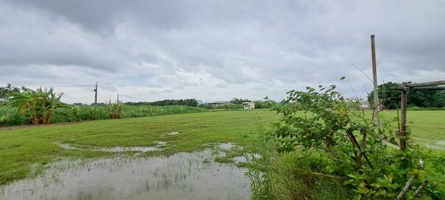 高雄彌陀農地-3