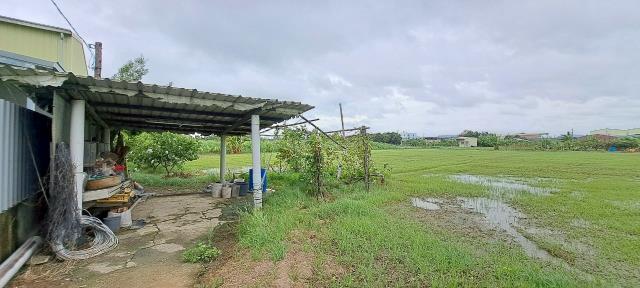高雄彌陀農地-5