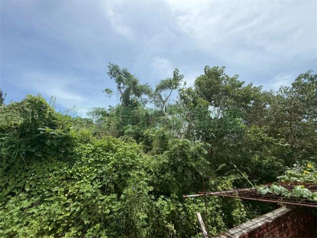 高雄美濃農地-5