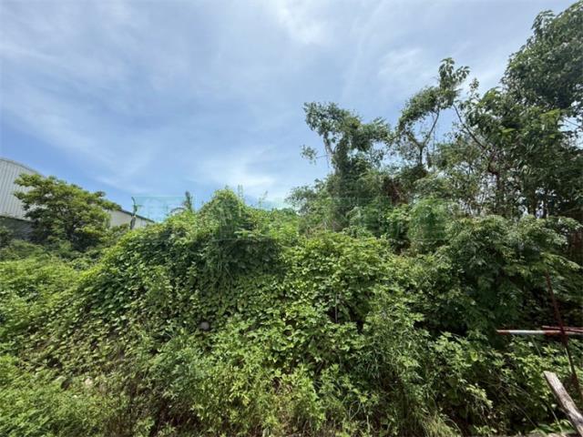 高雄美濃農地-7