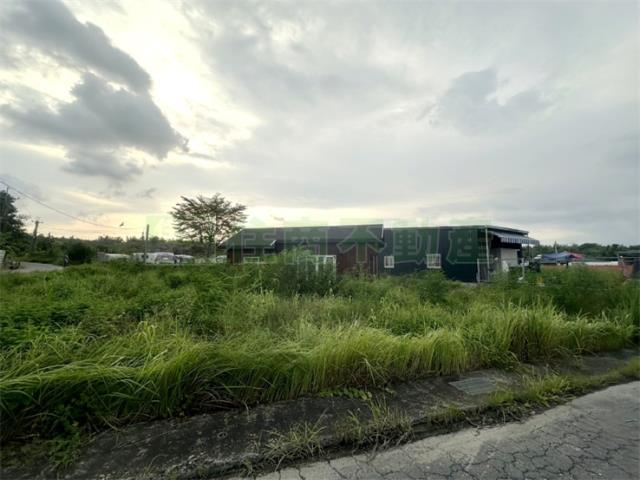 高雄大寮農地-9