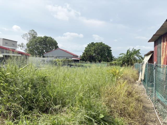 阿蓮建地-3
