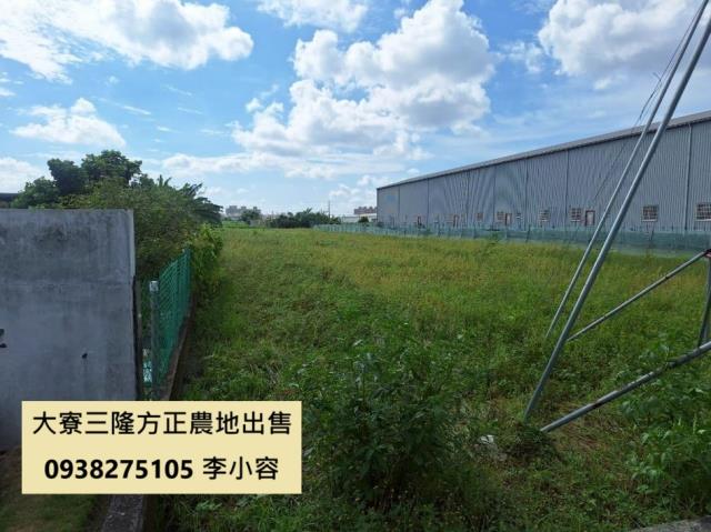 高雄大寮農地-2