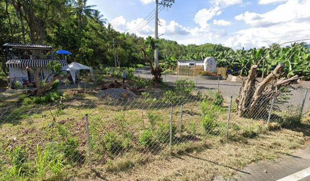 高雄杉林農地-2