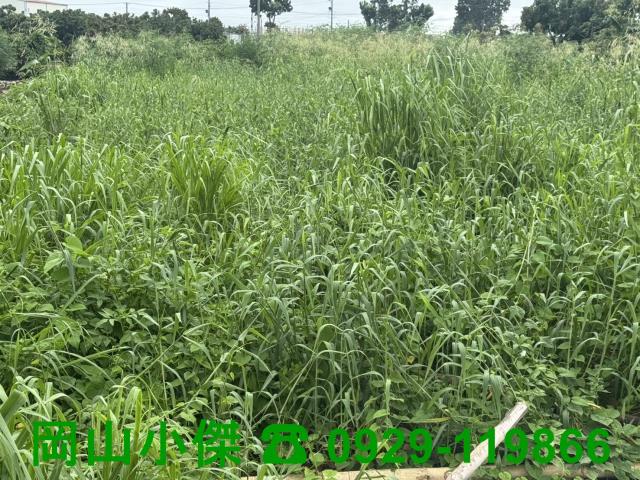 高雄大寮農地-0