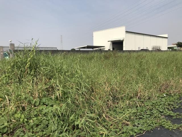 高雄岡山農地-0