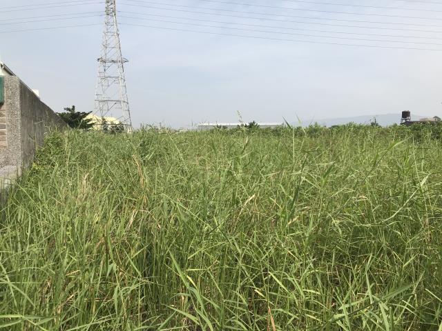 高雄岡山農地-2