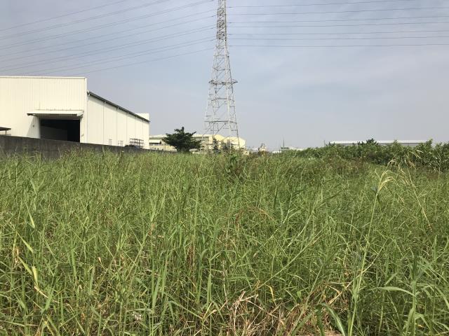 高雄岡山農地-4