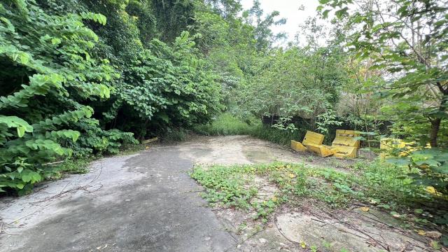 高雄燕巢農地-3