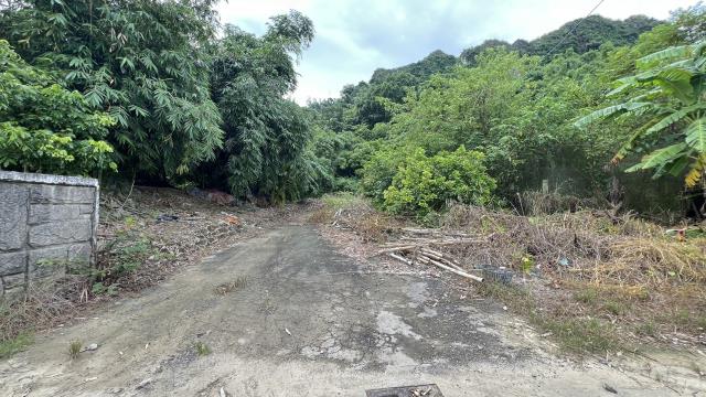 高雄燕巢農地-8